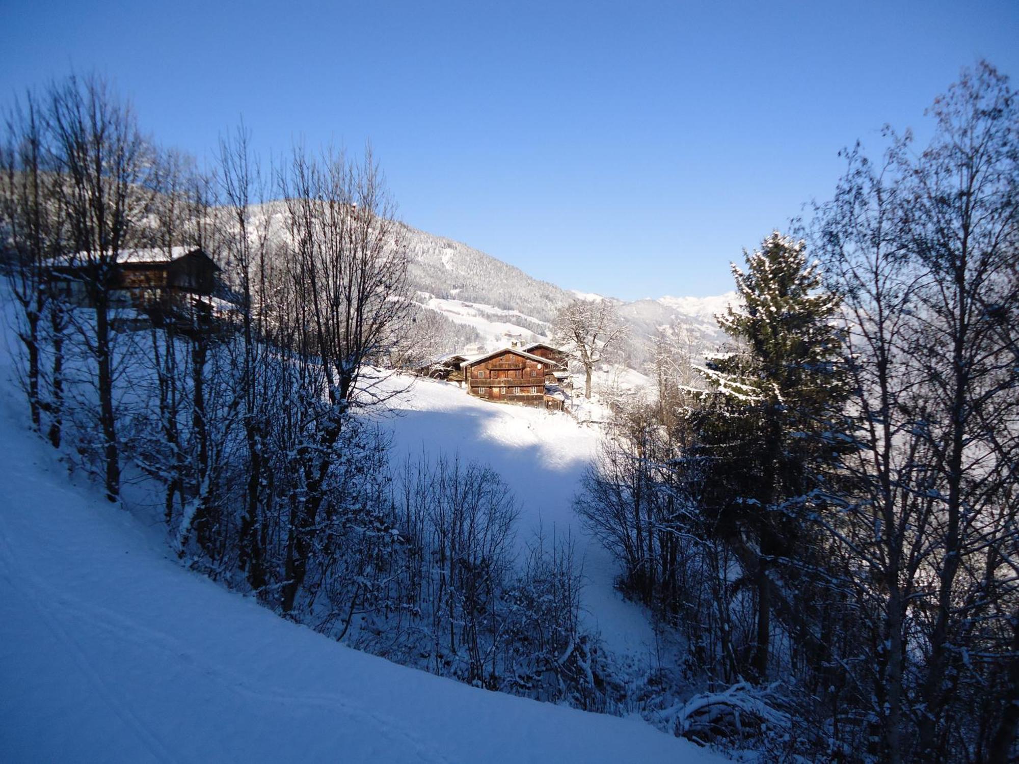 Apart Bianca Zillertal Kaltenbach Εξωτερικό φωτογραφία